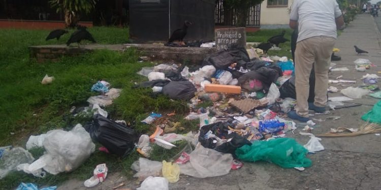 Problemática de salubridad al sur de Armenia.