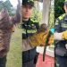 Rescatan tres especies de fauna silvestre en La Tebaida