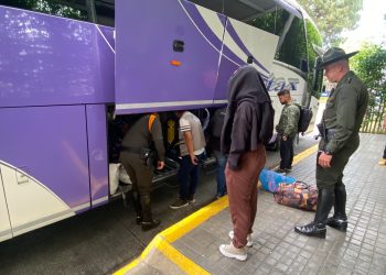Policía Nacional y su lucha para combatir tráfico ilegal de fauna y flora en la Terminal de Transporte de Armenia.